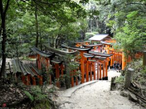 arashiyama